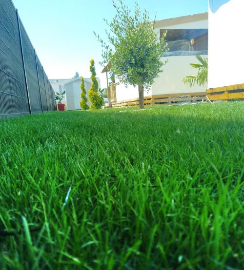 Entretien de jardin près de Bruay-la-Buissière